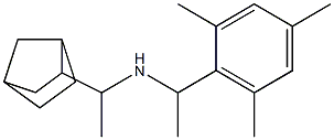 (1-{bicyclo[2.2.1]heptan-2-yl}ethyl)[1-(2,4,6-trimethylphenyl)ethyl]amine 结构式