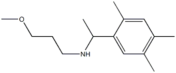 (3-methoxypropyl)[1-(2,4,5-trimethylphenyl)ethyl]amine 结构式