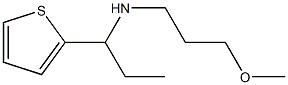 (3-methoxypropyl)[1-(thiophen-2-yl)propyl]amine 结构式