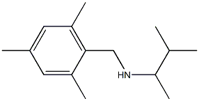 (3-methylbutan-2-yl)[(2,4,6-trimethylphenyl)methyl]amine 结构式