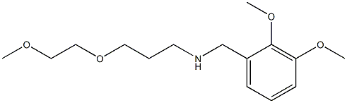 [(2,3-dimethoxyphenyl)methyl][3-(2-methoxyethoxy)propyl]amine 结构式