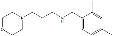 [(2,4-dimethylphenyl)methyl][3-(morpholin-4-yl)propyl]amine 结构式