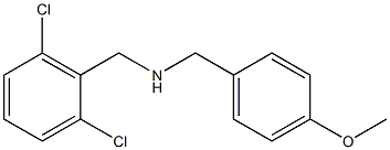 [(2,6-dichlorophenyl)methyl][(4-methoxyphenyl)methyl]amine 结构式