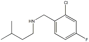 [(2-chloro-4-fluorophenyl)methyl](3-methylbutyl)amine 结构式