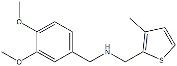 [(3,4-dimethoxyphenyl)methyl][(3-methylthiophen-2-yl)methyl]amine 结构式