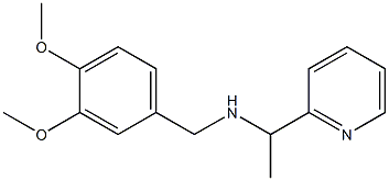 [(3,4-dimethoxyphenyl)methyl][1-(pyridin-2-yl)ethyl]amine 结构式