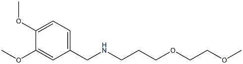 [(3,4-dimethoxyphenyl)methyl][3-(2-methoxyethoxy)propyl]amine 结构式