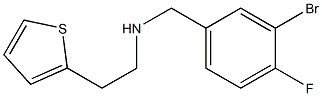 [(3-bromo-4-fluorophenyl)methyl][2-(thiophen-2-yl)ethyl]amine 结构式