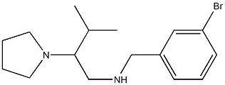 [(3-bromophenyl)methyl][3-methyl-2-(pyrrolidin-1-yl)butyl]amine 结构式