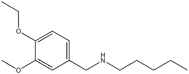 [(4-ethoxy-3-methoxyphenyl)methyl](pentyl)amine 结构式