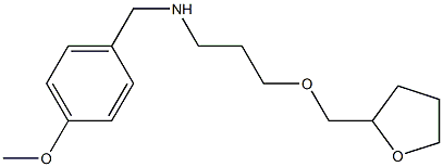 [(4-methoxyphenyl)methyl][3-(oxolan-2-ylmethoxy)propyl]amine 结构式