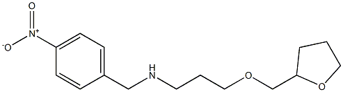 [(4-nitrophenyl)methyl][3-(oxolan-2-ylmethoxy)propyl]amine 结构式