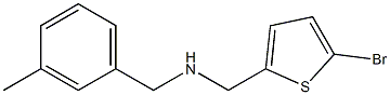 [(5-bromothiophen-2-yl)methyl][(3-methylphenyl)methyl]amine 结构式