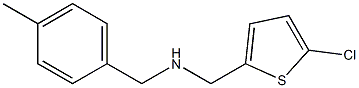 [(5-chlorothiophen-2-yl)methyl][(4-methylphenyl)methyl]amine 结构式