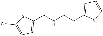 [(5-chlorothiophen-2-yl)methyl][2-(thiophen-2-yl)ethyl]amine 结构式