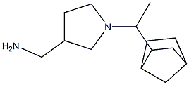 [1-(1-bicyclo[2.2.1]hept-2-ylethyl)pyrrolidin-3-yl]methylamine 结构式