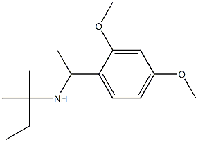 [1-(2,4-dimethoxyphenyl)ethyl](2-methylbutan-2-yl)amine 结构式