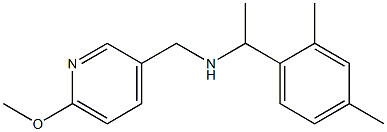 [1-(2,4-dimethylphenyl)ethyl][(6-methoxypyridin-3-yl)methyl]amine 结构式