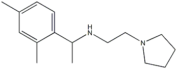[1-(2,4-dimethylphenyl)ethyl][2-(pyrrolidin-1-yl)ethyl]amine 结构式