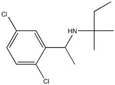 [1-(2,5-dichlorophenyl)ethyl](2-methylbutan-2-yl)amine 结构式