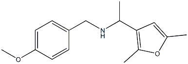 [1-(2,5-dimethylfuran-3-yl)ethyl][(4-methoxyphenyl)methyl]amine 结构式