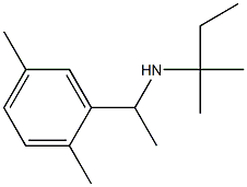 [1-(2,5-dimethylphenyl)ethyl](2-methylbutan-2-yl)amine 结构式