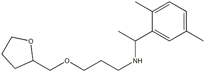 [1-(2,5-dimethylphenyl)ethyl][3-(oxolan-2-ylmethoxy)propyl]amine 结构式