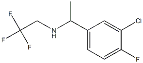 [1-(3-chloro-4-fluorophenyl)ethyl](2,2,2-trifluoroethyl)amine 结构式