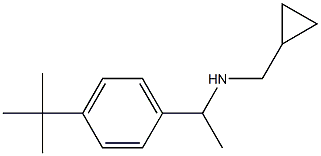 [1-(4-tert-butylphenyl)ethyl](cyclopropylmethyl)amine 结构式