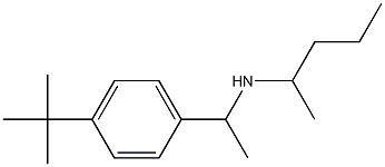[1-(4-tert-butylphenyl)ethyl](pentan-2-yl)amine 结构式