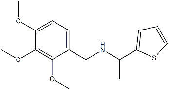 [1-(thiophen-2-yl)ethyl][(2,3,4-trimethoxyphenyl)methyl]amine 结构式