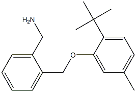 [2-(2-tert-butyl-5-methylphenoxymethyl)phenyl]methanamine 结构式