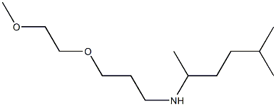 [3-(2-methoxyethoxy)propyl](5-methylhexan-2-yl)amine 结构式