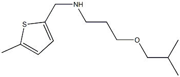 [3-(2-methylpropoxy)propyl][(5-methylthiophen-2-yl)methyl]amine 结构式