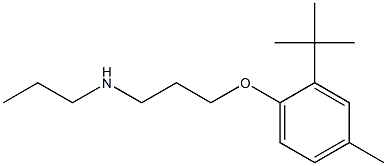 [3-(2-tert-butyl-4-methylphenoxy)propyl](propyl)amine 结构式