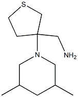 [3-(3,5-dimethylpiperidin-1-yl)tetrahydrothien-3-yl]methylamine 结构式