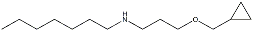 [3-(cyclopropylmethoxy)propyl](heptyl)amine 结构式