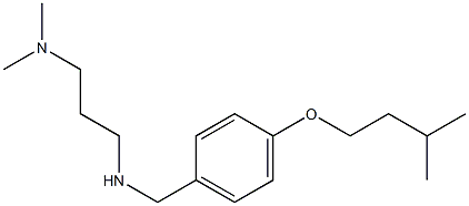 [3-(dimethylamino)propyl]({[4-(3-methylbutoxy)phenyl]methyl})amine 结构式