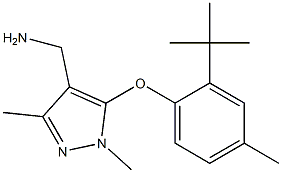 [5-(2-tert-butyl-4-methylphenoxy)-1,3-dimethyl-1H-pyrazol-4-yl]methanamine 结构式