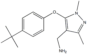 [5-(4-tert-butylphenoxy)-1,3-dimethyl-1H-pyrazol-4-yl]methanamine 结构式