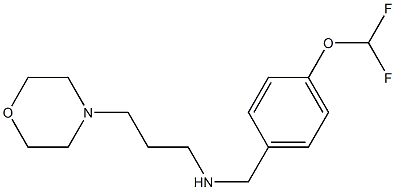 {[4-(difluoromethoxy)phenyl]methyl}[3-(morpholin-4-yl)propyl]amine 结构式