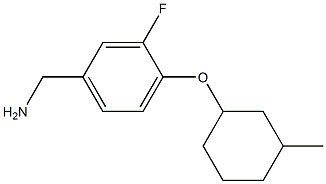 {3-fluoro-4-[(3-methylcyclohexyl)oxy]phenyl}methanamine 结构式