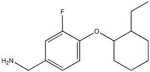 {4-[(2-ethylcyclohexyl)oxy]-3-fluorophenyl}methanamine 结构式