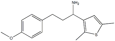 1-(2,5-dimethylthiophen-3-yl)-3-(4-methoxyphenyl)propan-1-amine 结构式