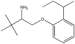 1-(2-amino-3,3-dimethylbutoxy)-2-(butan-2-yl)benzene 结构式