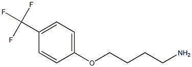 1-(4-aminobutoxy)-4-(trifluoromethyl)benzene 结构式