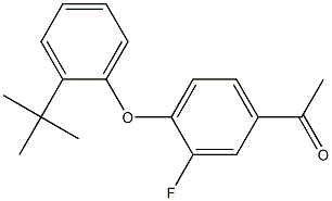 1-[4-(2-tert-butylphenoxy)-3-fluorophenyl]ethan-1-one 结构式