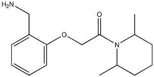 1-{2-[2-(2,6-dimethylpiperidin-1-yl)-2-oxoethoxy]phenyl}methanamine 结构式