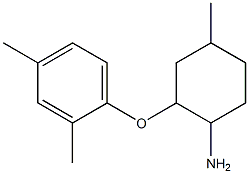 2-(2,4-dimethylphenoxy)-4-methylcyclohexan-1-amine 结构式