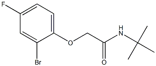 2-(2-bromo-4-fluorophenoxy)-N-(tert-butyl)acetamide 结构式